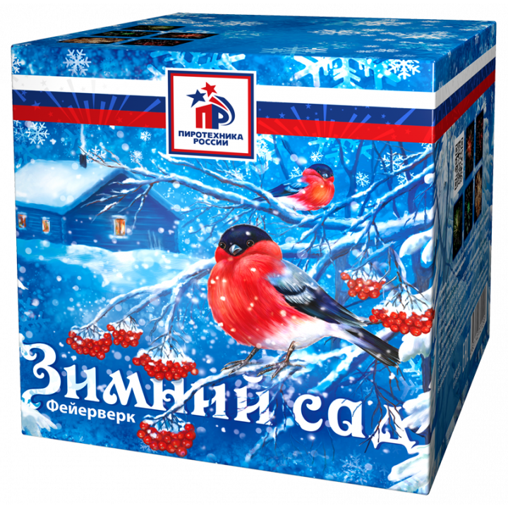 Зимний сад